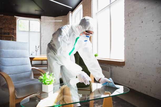 Best Biohazard Mold Removal  in El Monte, CA