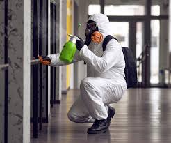 Best Environmental Consulting for Mold Prevention  in El Monte, CA